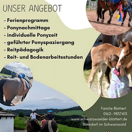 Appartement Schwarzwaelder Blattert Bonndorf im Schwarzwald