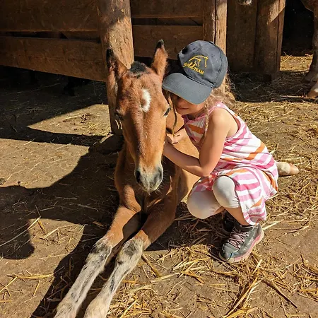 Appartement Schwarzwaelder Blattert Bonndorf im Schwarzwald