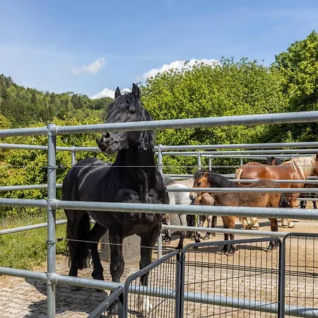 Schwarzwaelder Blattert Appartamento Bonndorf im Schwarzwald